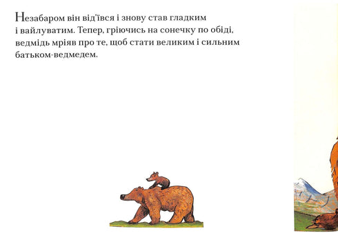 L'orso è un miracolo